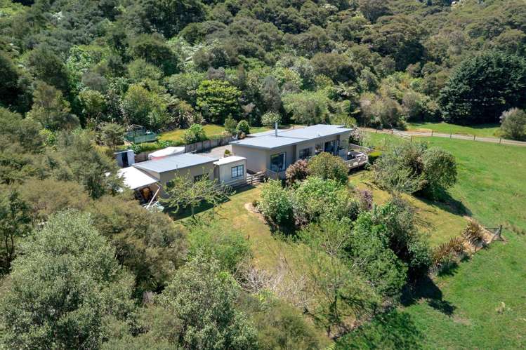 5 Tapu Creek Farms Tapu_33