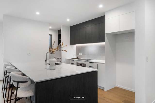 11 Riukiuta Avenue Mt Eden_2