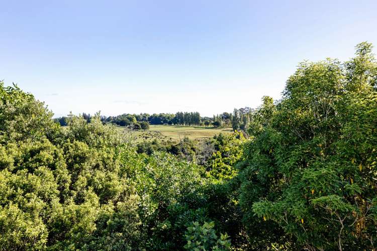 14 Silva Crescent Riverlea_6