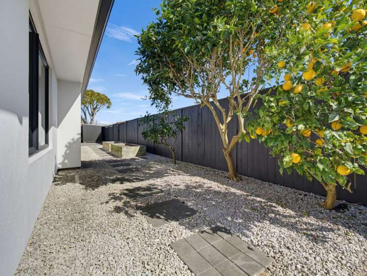134 Palm Beach Boulevard Papamoa_20