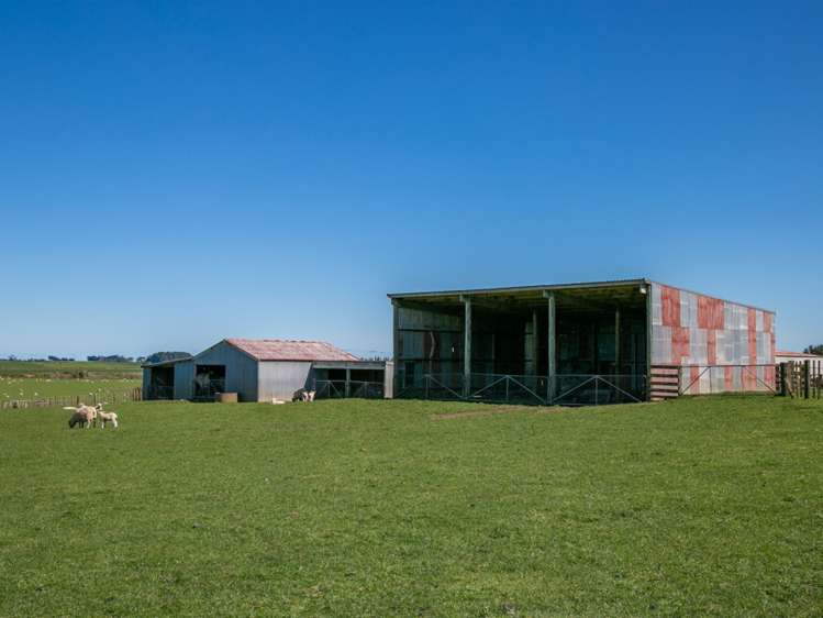 438 Omahina Road Waverley_21