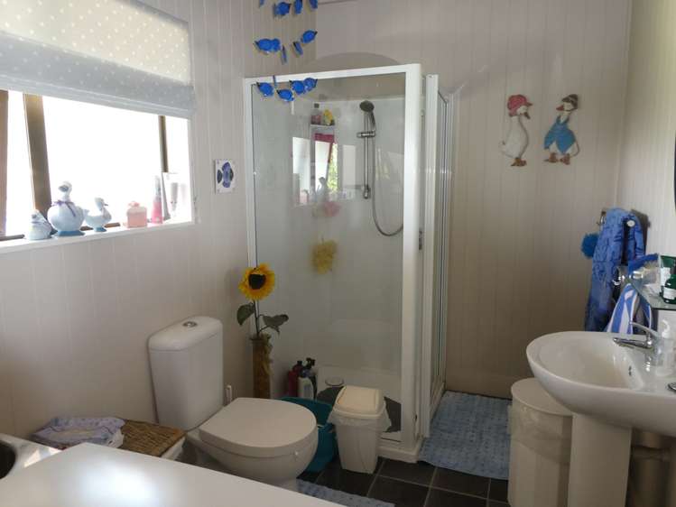 15 Greenfield Street Hector_9