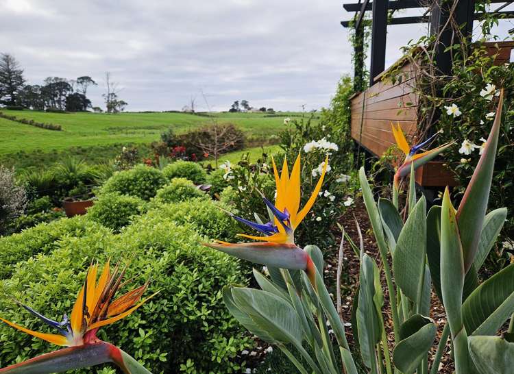 6C Goble Road Clarks Beach_25