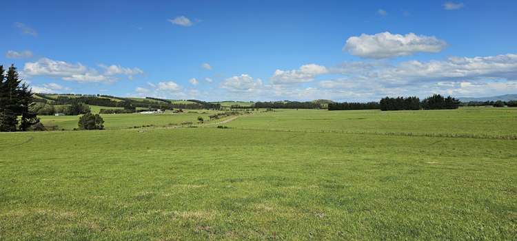 236 Walker Road Lumsden Surrounds_17