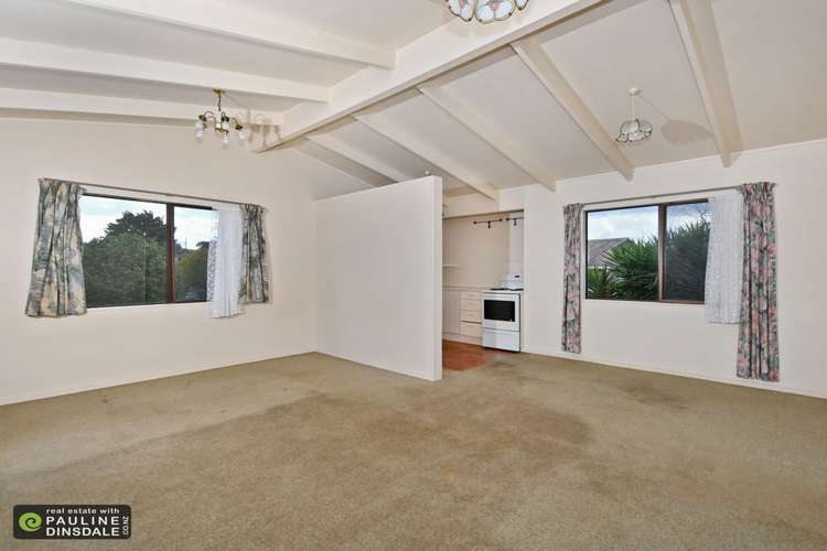 120 Paramount Parade Tikipunga_2