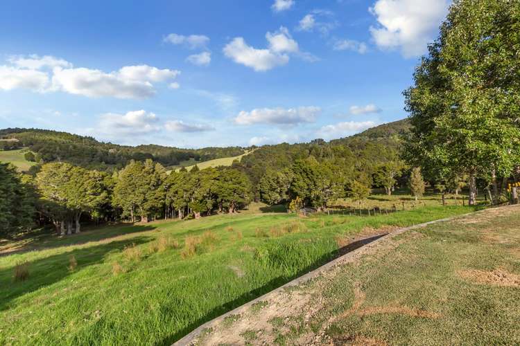 903 Springfield Road Mangapai and Surrounds_19