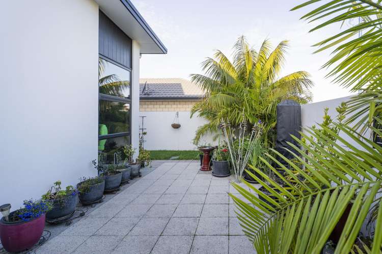 43 Aquila Drive Whitianga_33