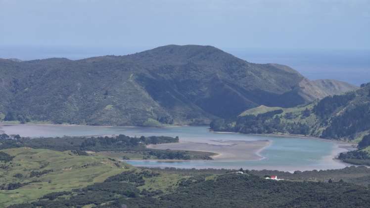 Puhata Road Herekino_19