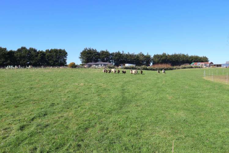 36 Mill Road North Mill Road_34