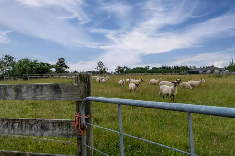 29 Carters Line Parkvale_16