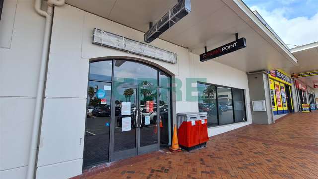 123 Ormiston Road Flat Bush_2