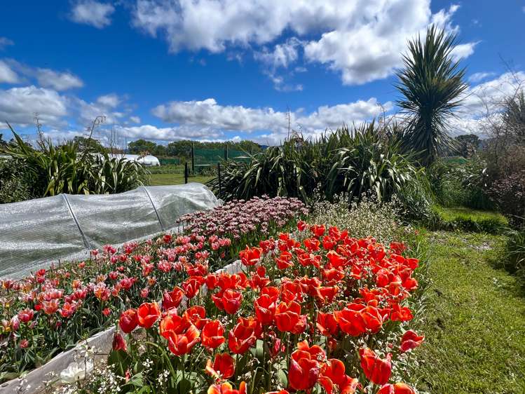 86 Connollys Line Carterton_17