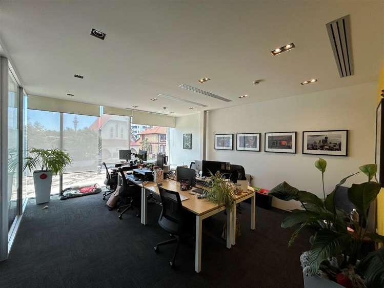 38 Ponsonby Road Grey Lynn_8