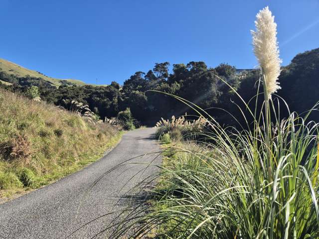 282 Wainui Main Road French Farm_4