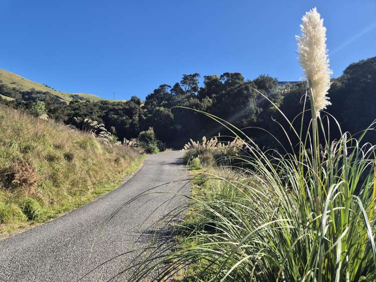 282 Wainui Main Road_4
