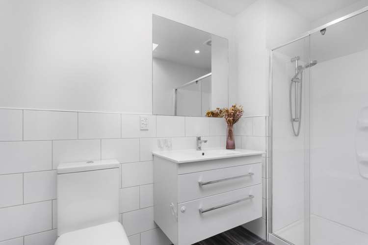 31 Seddon Street Sydenham_9