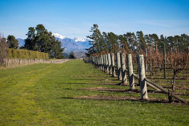 592 Awatere Valley Road Awatere Valley_2