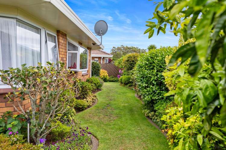 7B Reilly Avenue Mount Maunganui_15