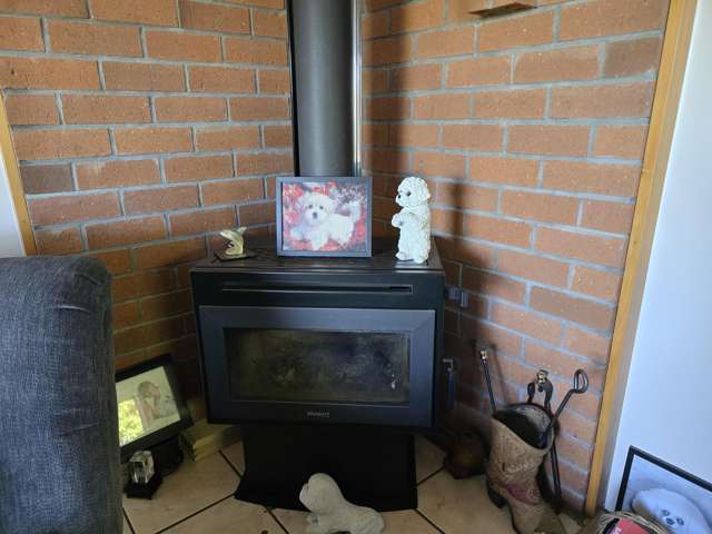 15 Manchester Street Ashburton_1