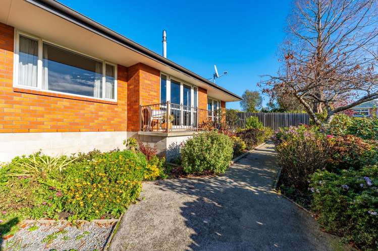 41a Maltby Avenue West End_12