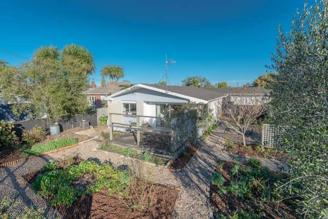 26a Pearsons Avenue Claudelands_1