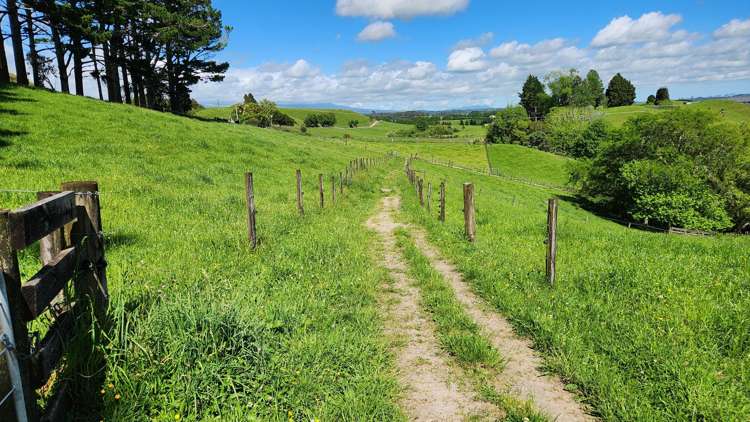 133 Kaimata Road Kaimata_9