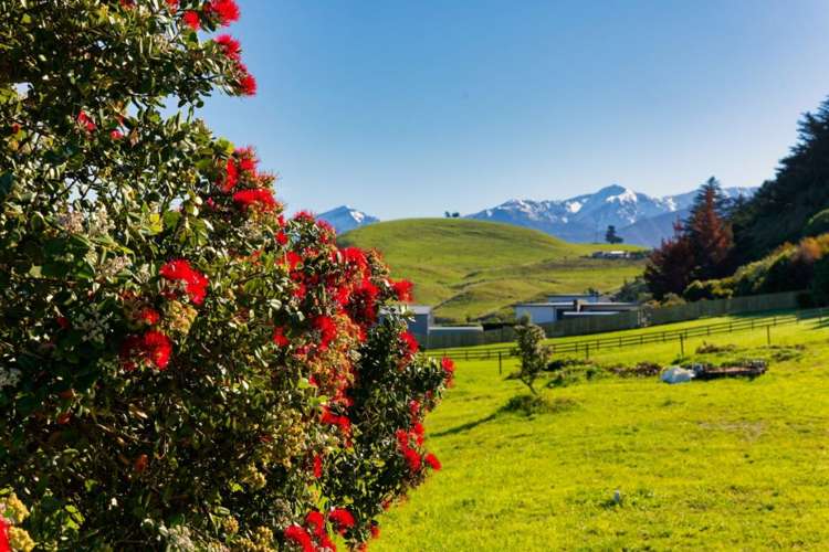 16 Kotare Place South Bay_9