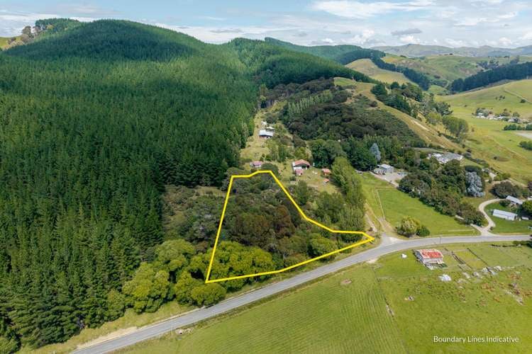 1/4101 Masterton Castle Point Rd, Tinui_0