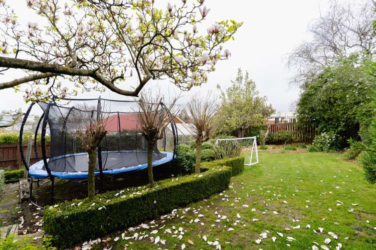 91 Lynn Street Wakari_11