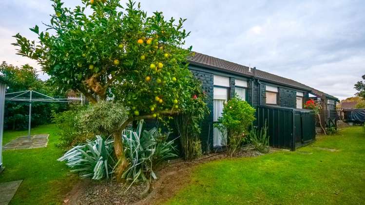 22 Weka Street Matamata_33