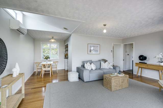 186 Guppy Road Taradale_3