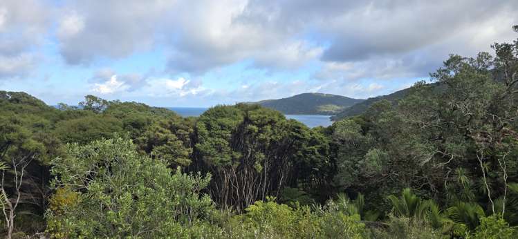 41a Blackwell Drive Great Barrier Island (Aotea Island)_6