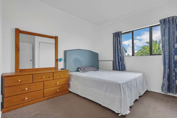 29 Triumph Road Flat Bush_13