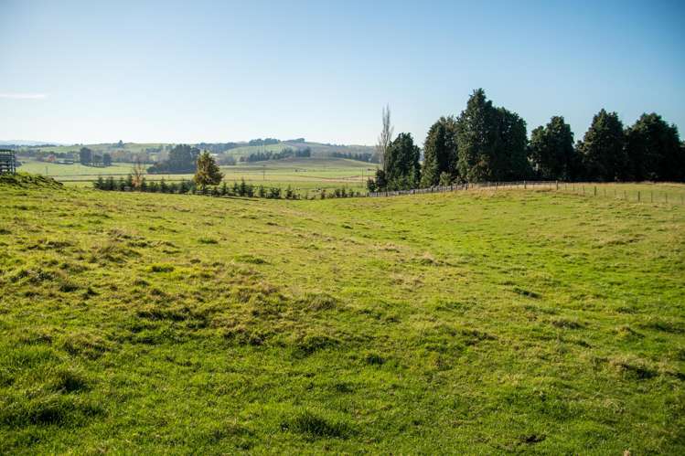 89C Mckinnon Road Mcnab_12