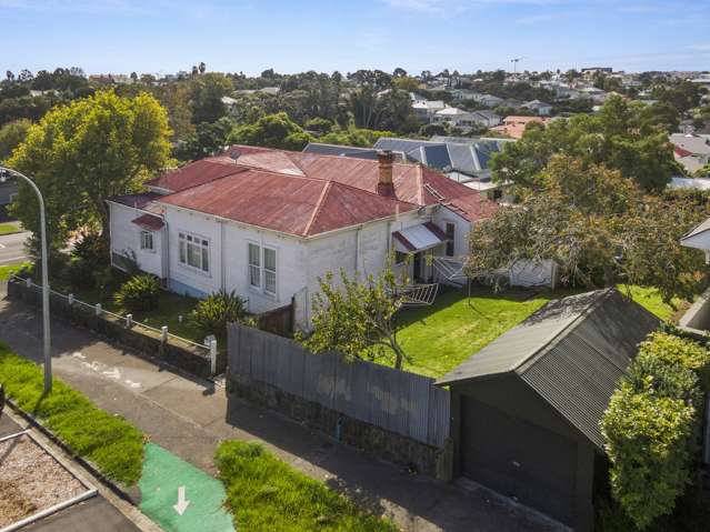 98 Williamson Avenue Grey Lynn_2