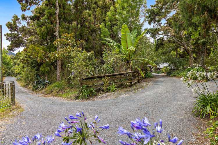 1021 Woodcocks Road Kaipara Flats_29