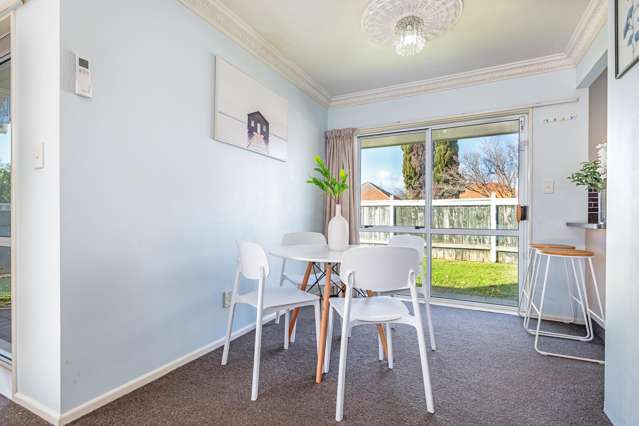 509 Featherston Street Roslyn_2