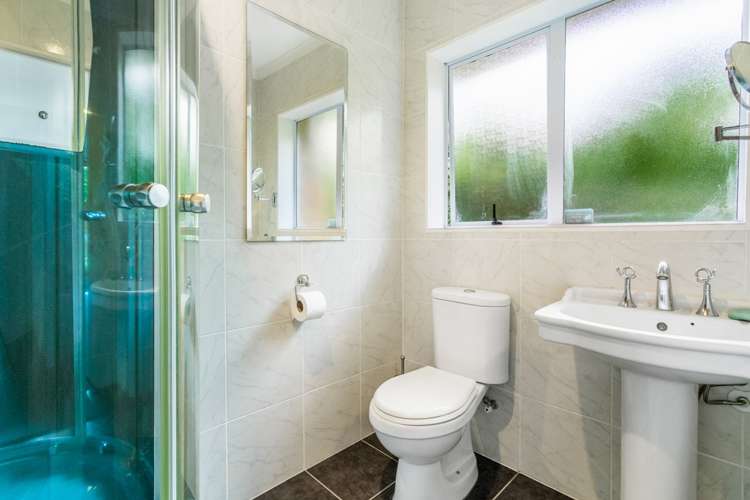 34a Haig Avenue Mount Roskill_14