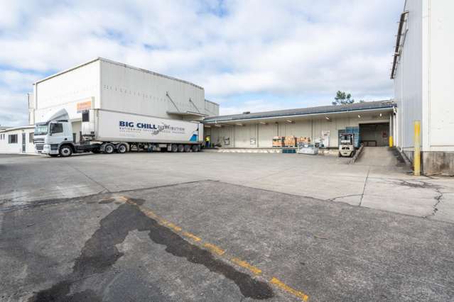 Tauranga cold storage – lease opportunity
