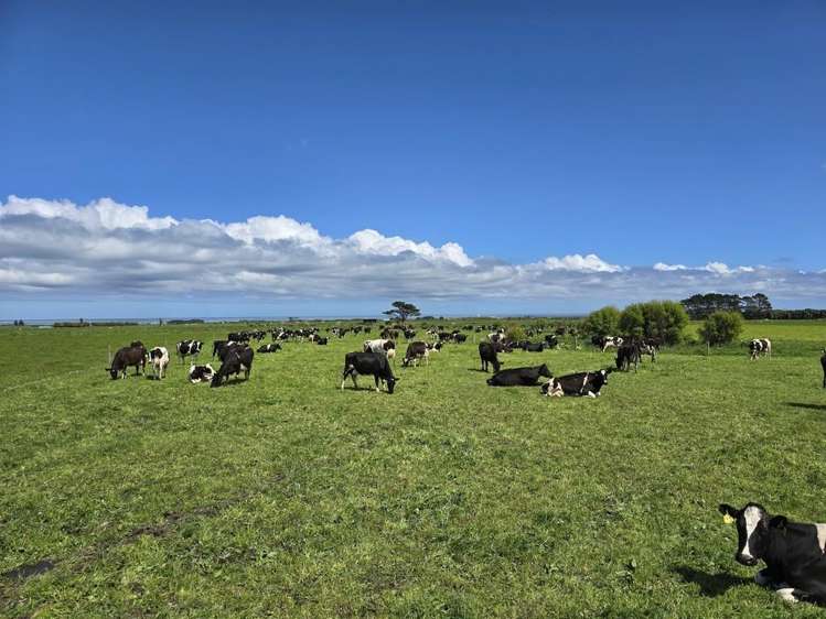 189 Namu Road Rd 31_6