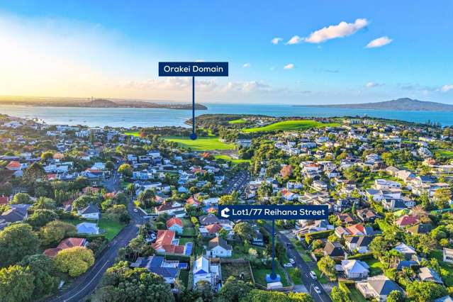 Build Your Dream home in Orakei