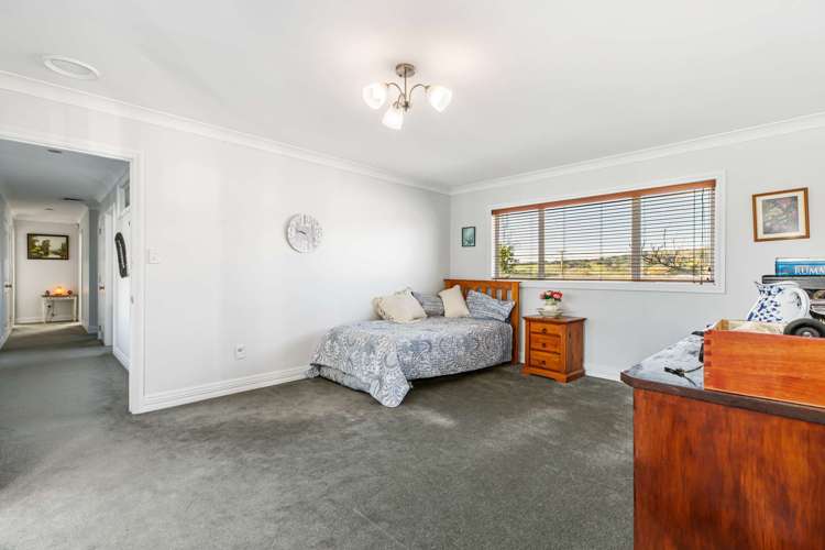 133a Burnside Road Ardmore_11