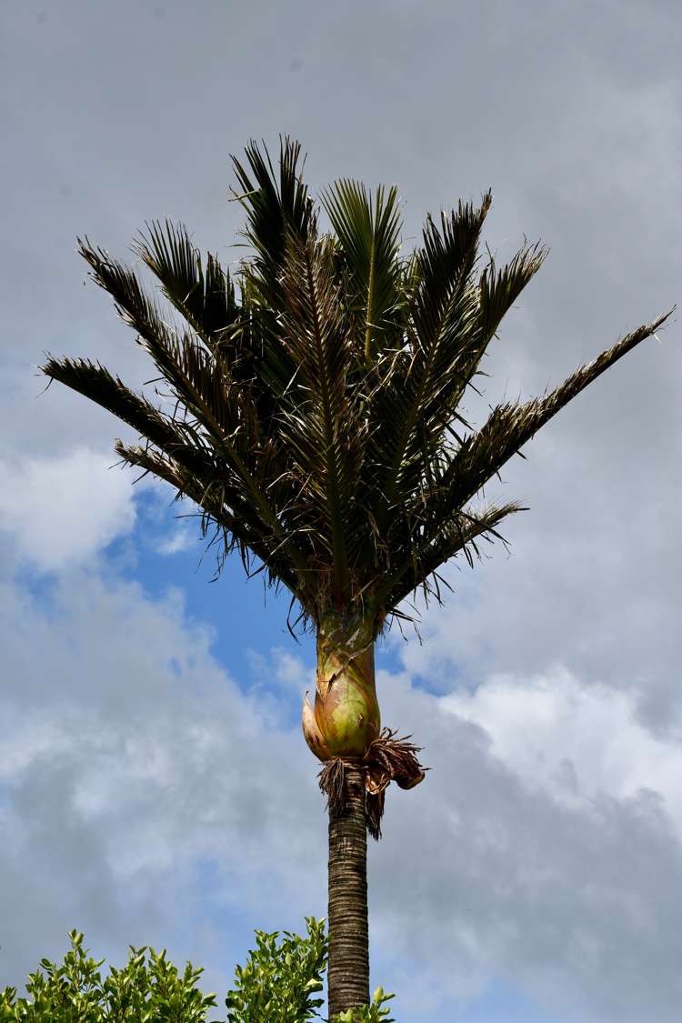 13 Wharf Road Karamea_22