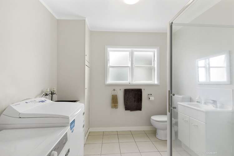 62 Devonshire Road Miramar_15