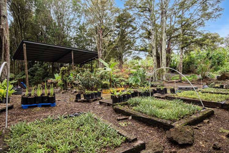 304 Mangakahia Road Maungatapere_30