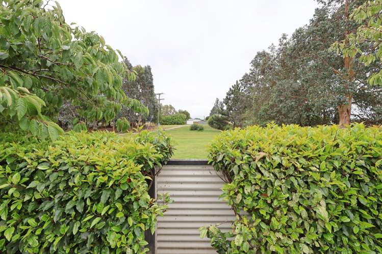 54 Hoffman Court Waikiwi_28