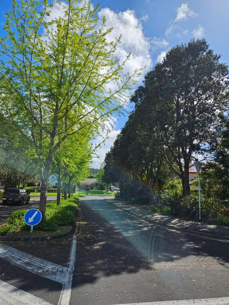 34 Widdison Place Albany_11