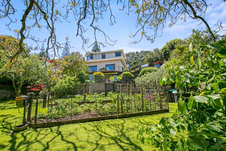 22 Victoria Road New Plymouth Central_20