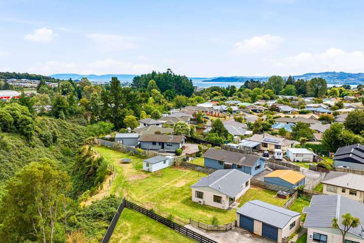 55b Arthur Crescent Hilltop_2