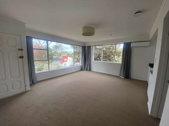 Bel Air Drive Hillsborough_3